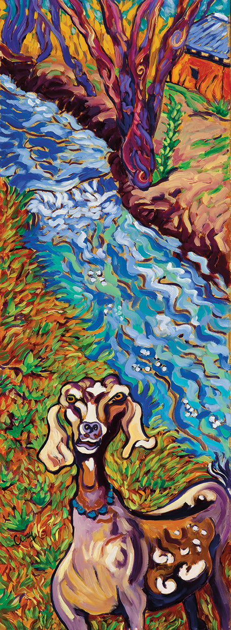 Acequia Goat