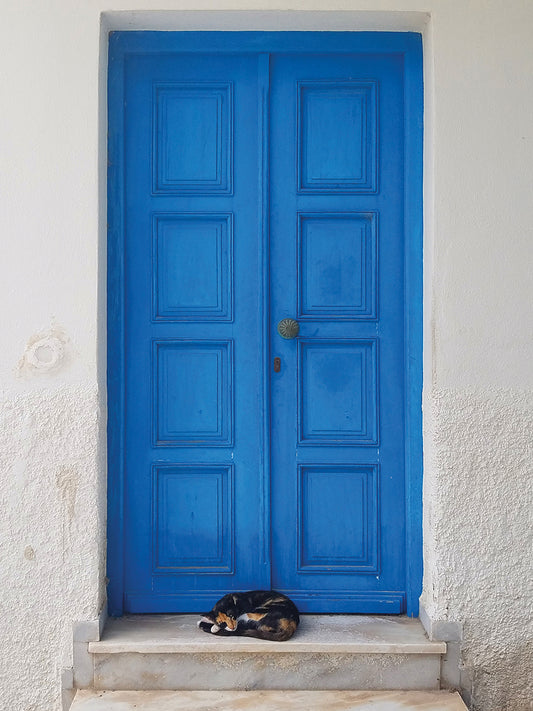 Blue Door And Cat Canvas Print