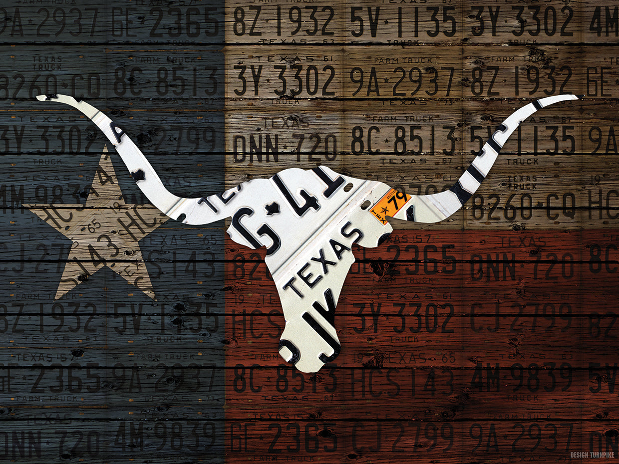 Longhorn Art With Flag