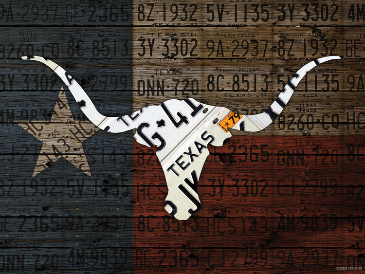 Longhorn Art With Flag