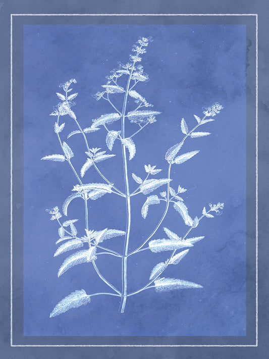 Flower Negative On Blue Canvas Print