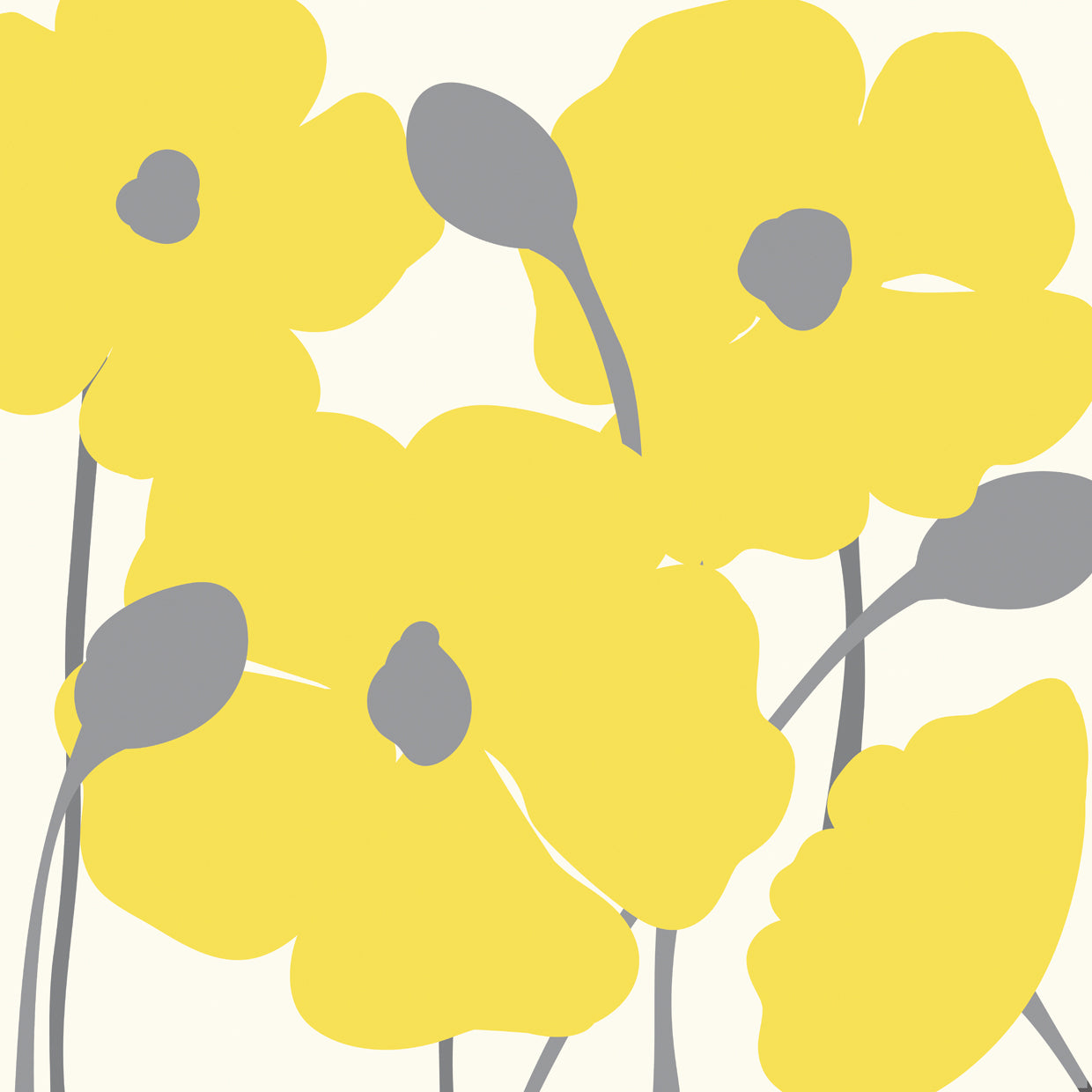 Poppies In The Sun