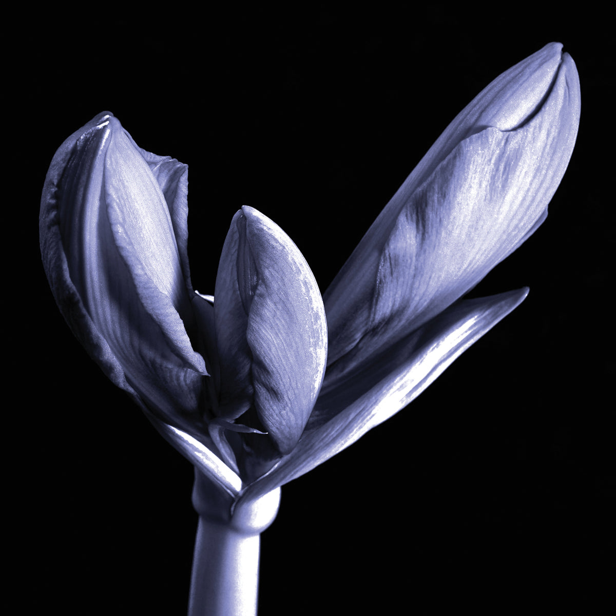 Infrared Panel 4