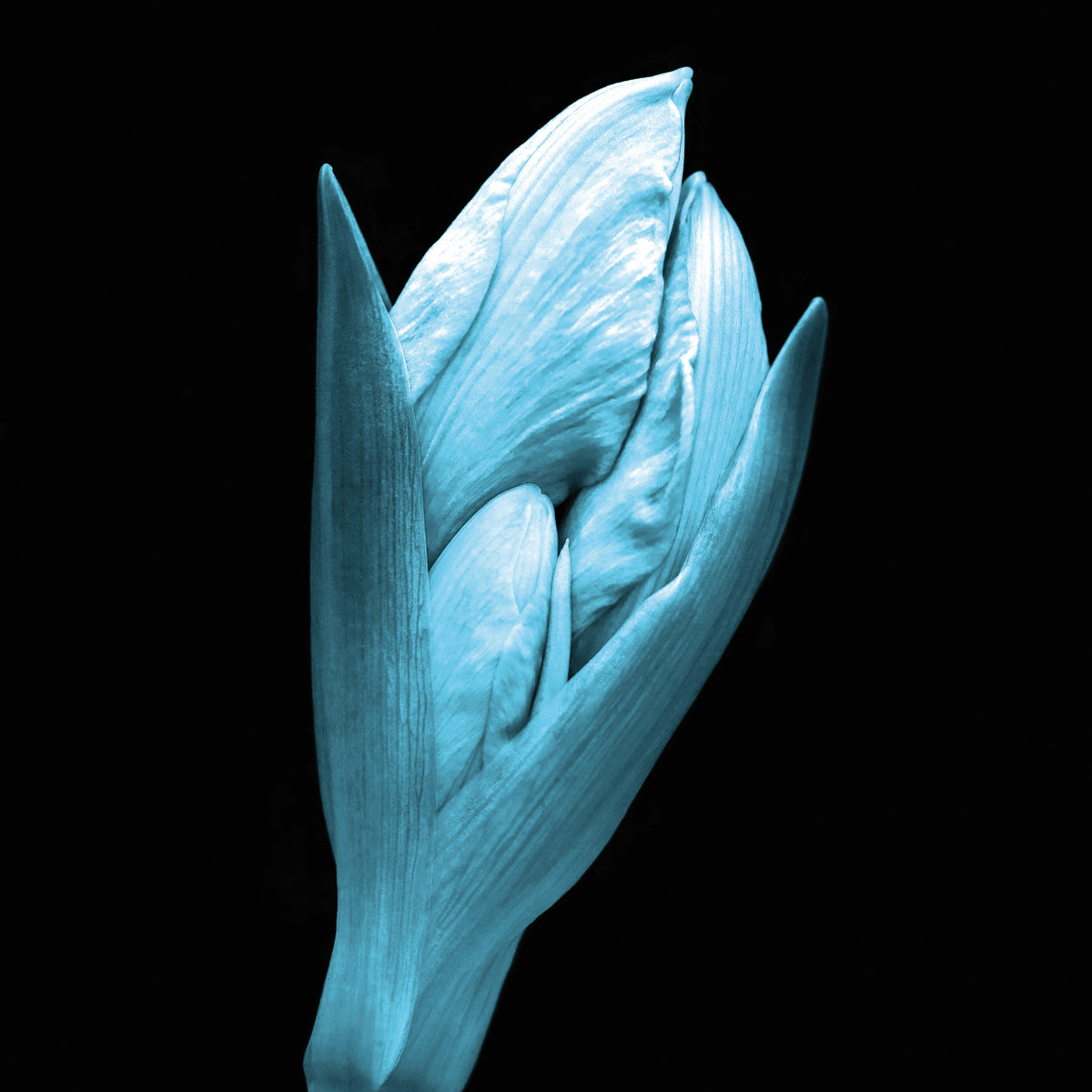 Infrared Panel 5