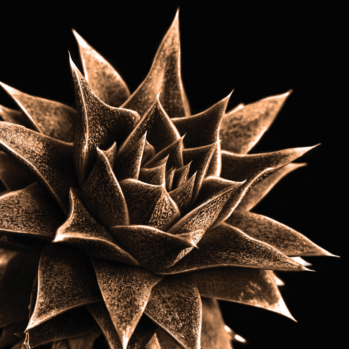 Infrared Panel 8
