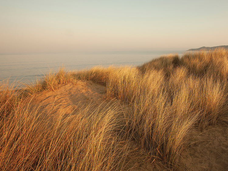 Dunes with Seagulls 7
