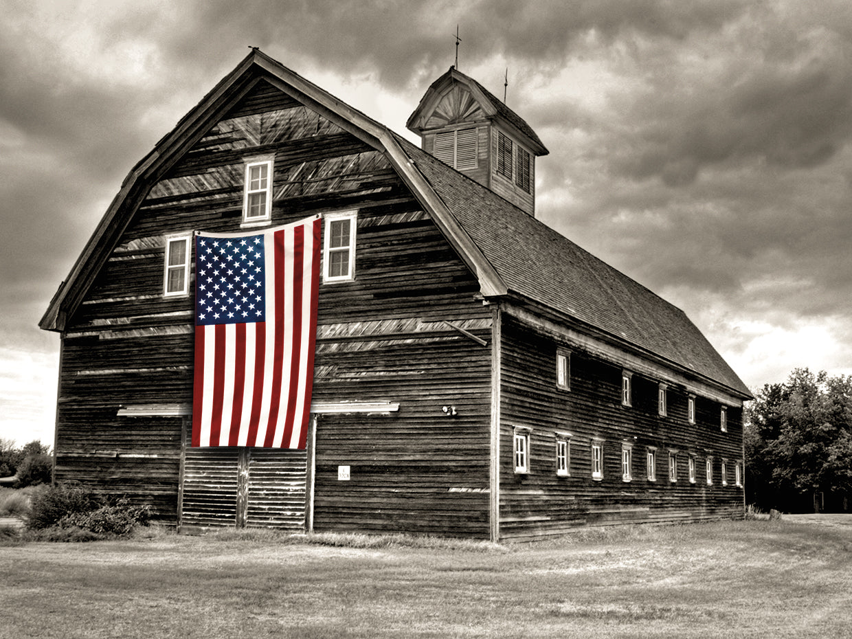 Modern Barn III