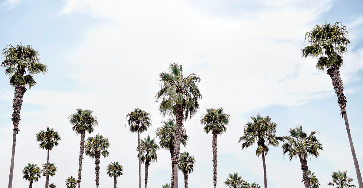 Laguna Beach