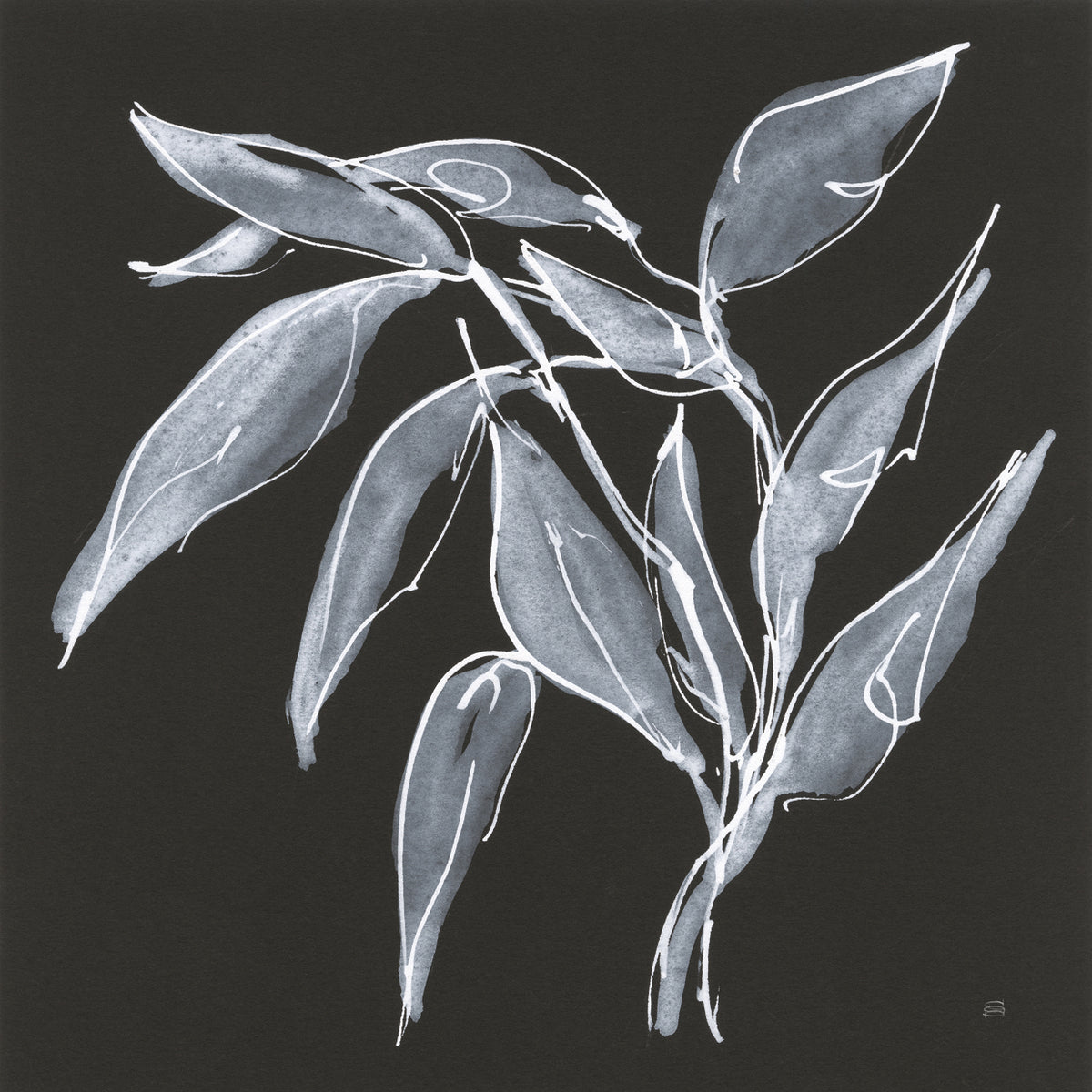 Branch II