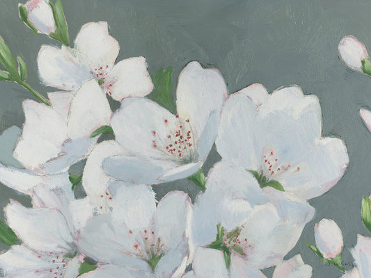 Spring Apple Blossoms Canvas Print
