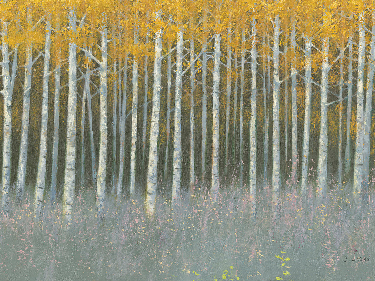 Forest Dusk