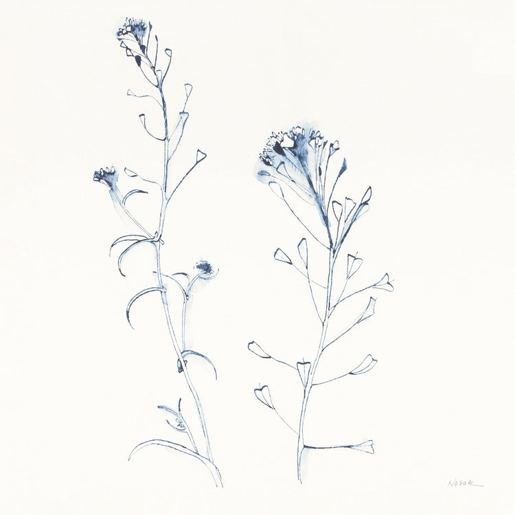 Shepherds Purse Stems II Blue