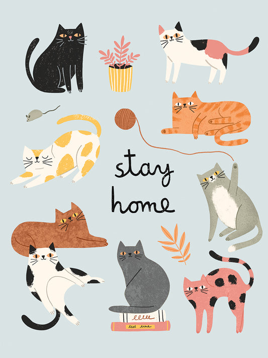 Cats Home Canvas Print