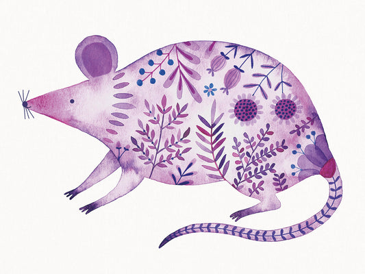 Floral Rat Canvas Print