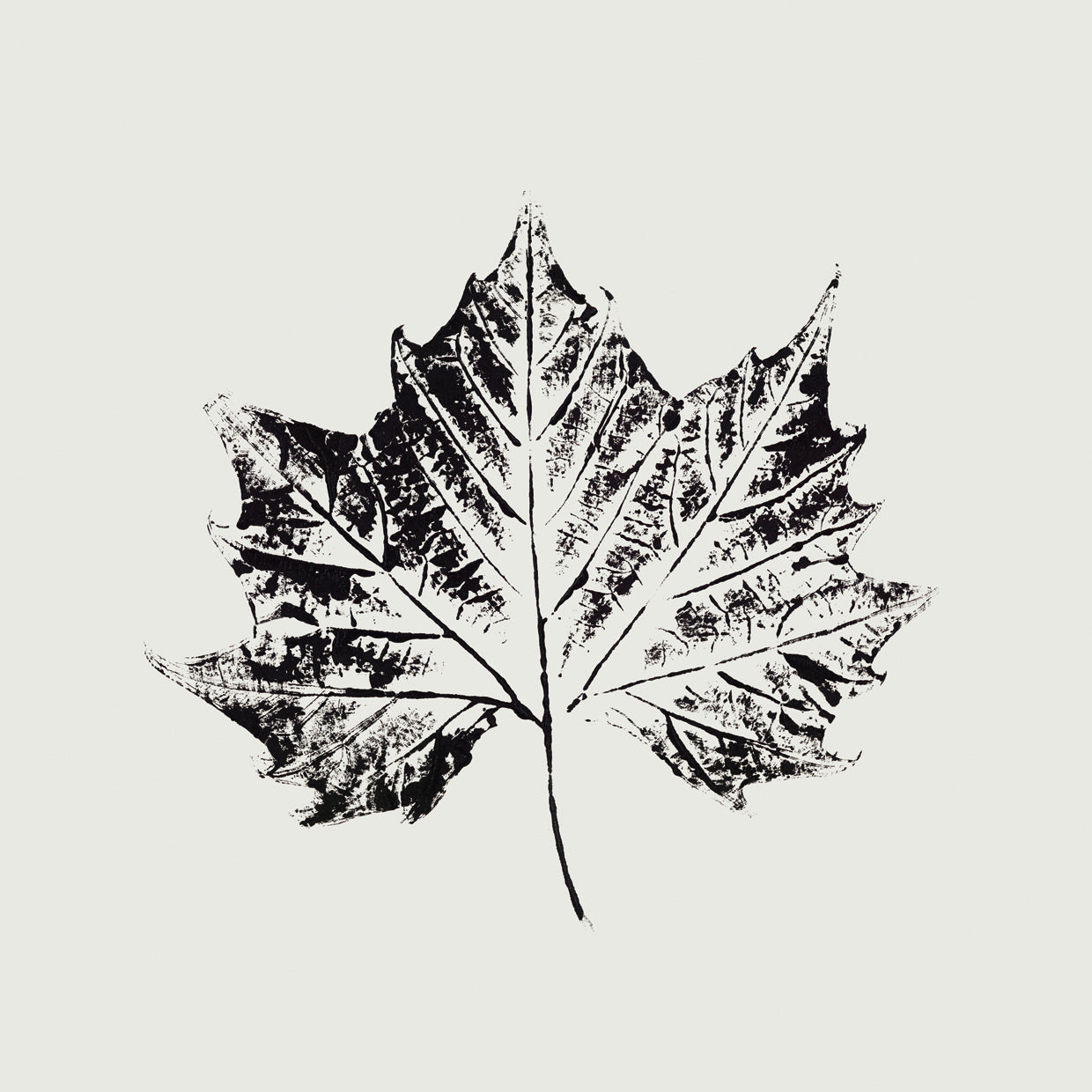 Black Print Leaf IV