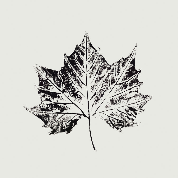 Black Print Leaf IV