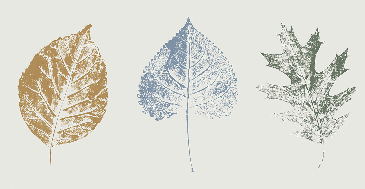 Fall Visions I