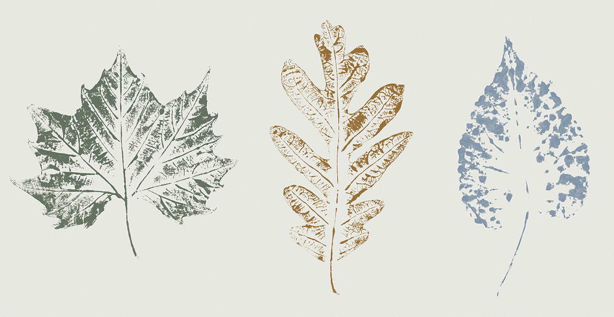 Fall Visions II