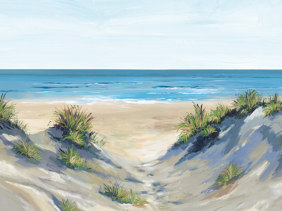 Beach Sand Dune I