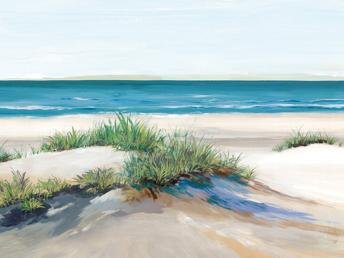 Beach Sand Dune II