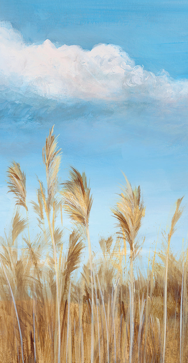 pampas-i-isabelle-z