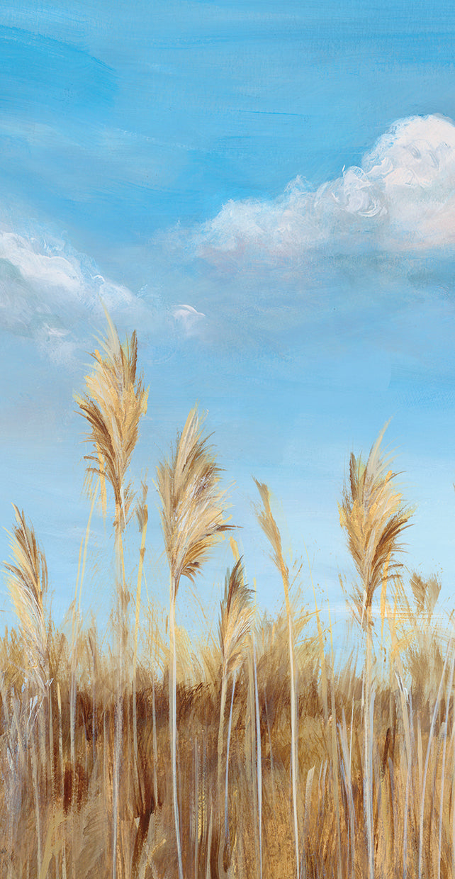 pampas-ii-isabelle-z