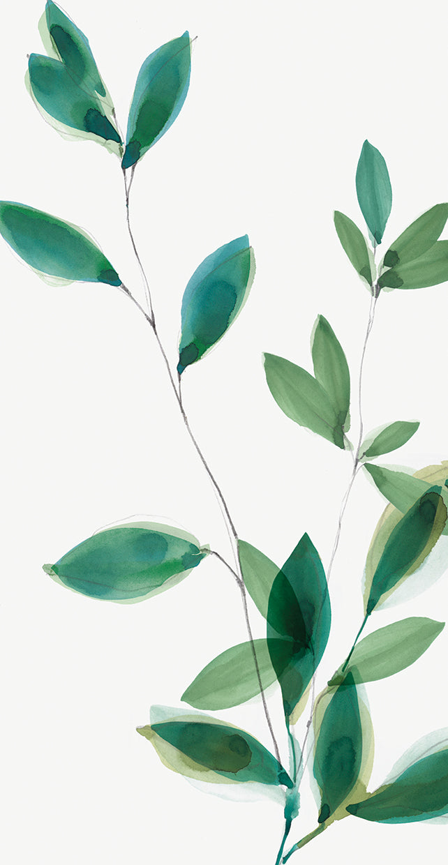 growing-green-i-isabelle-z
