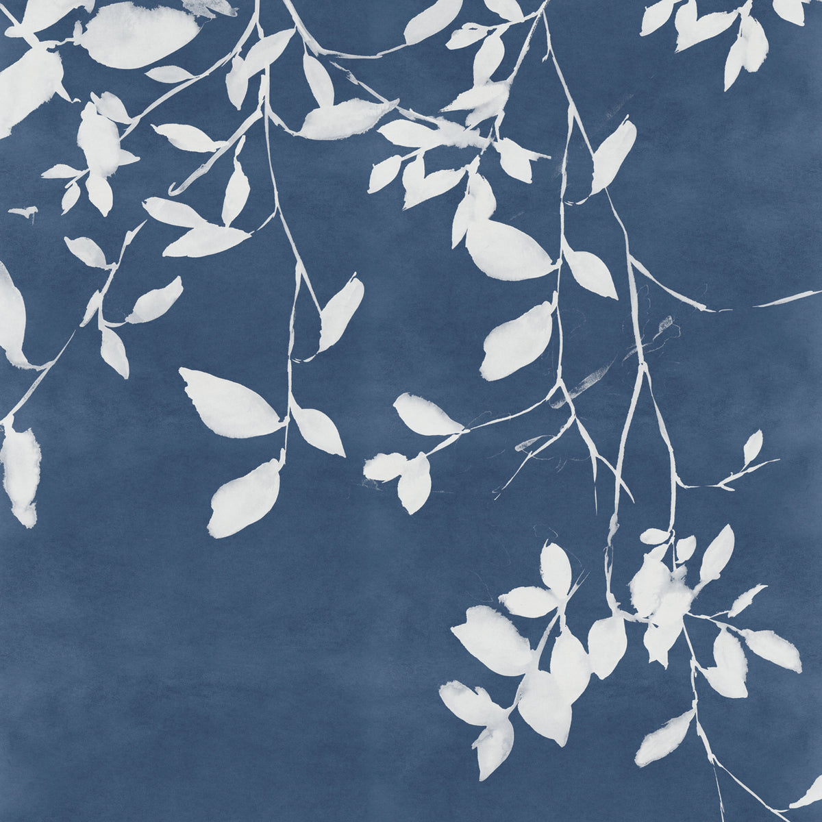 Indigo Sky II
