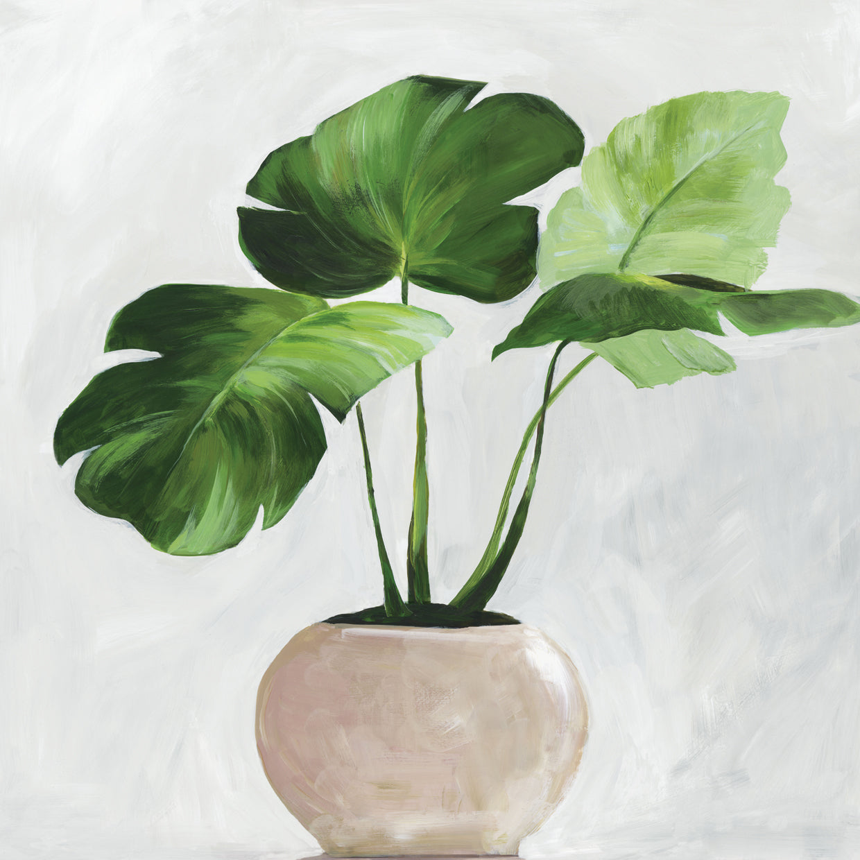 Potted Green Leaves