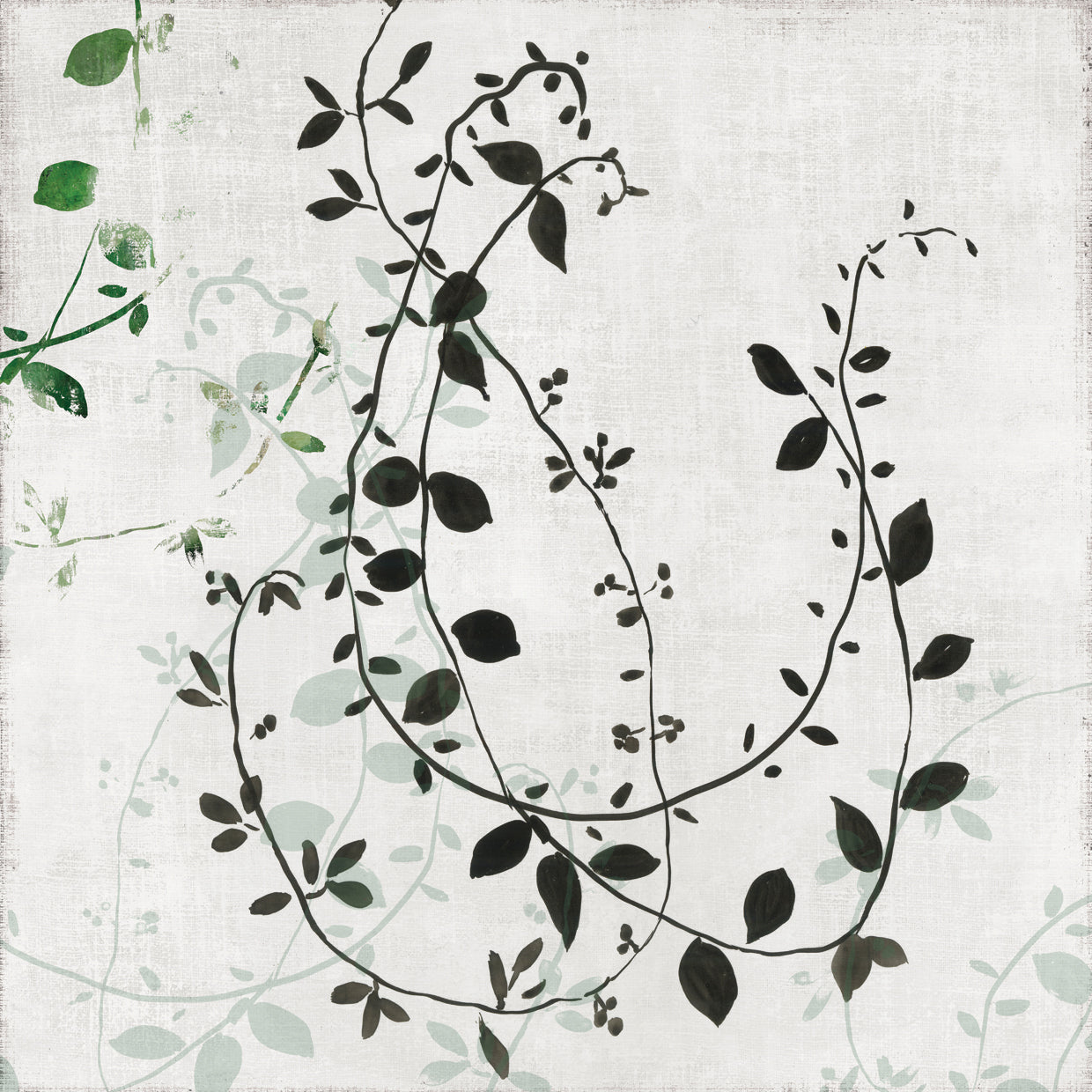 Dark Vines