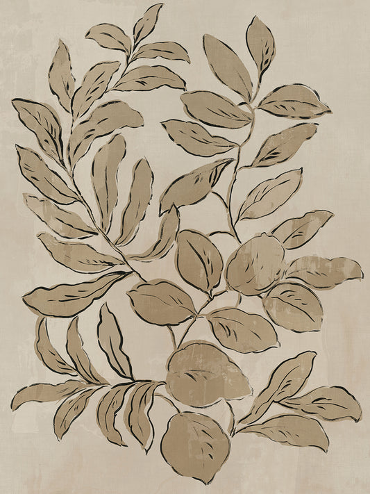 Leaves Sketches I Canvas Print