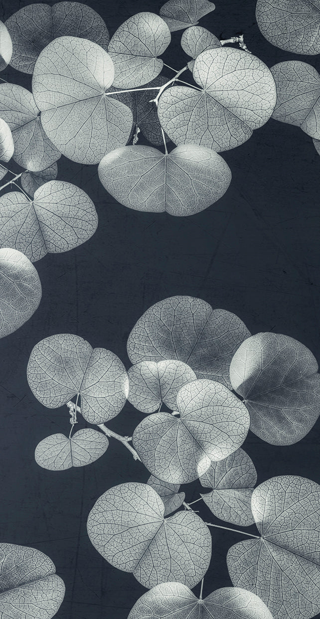 celebration-iii-dianne-poinski
