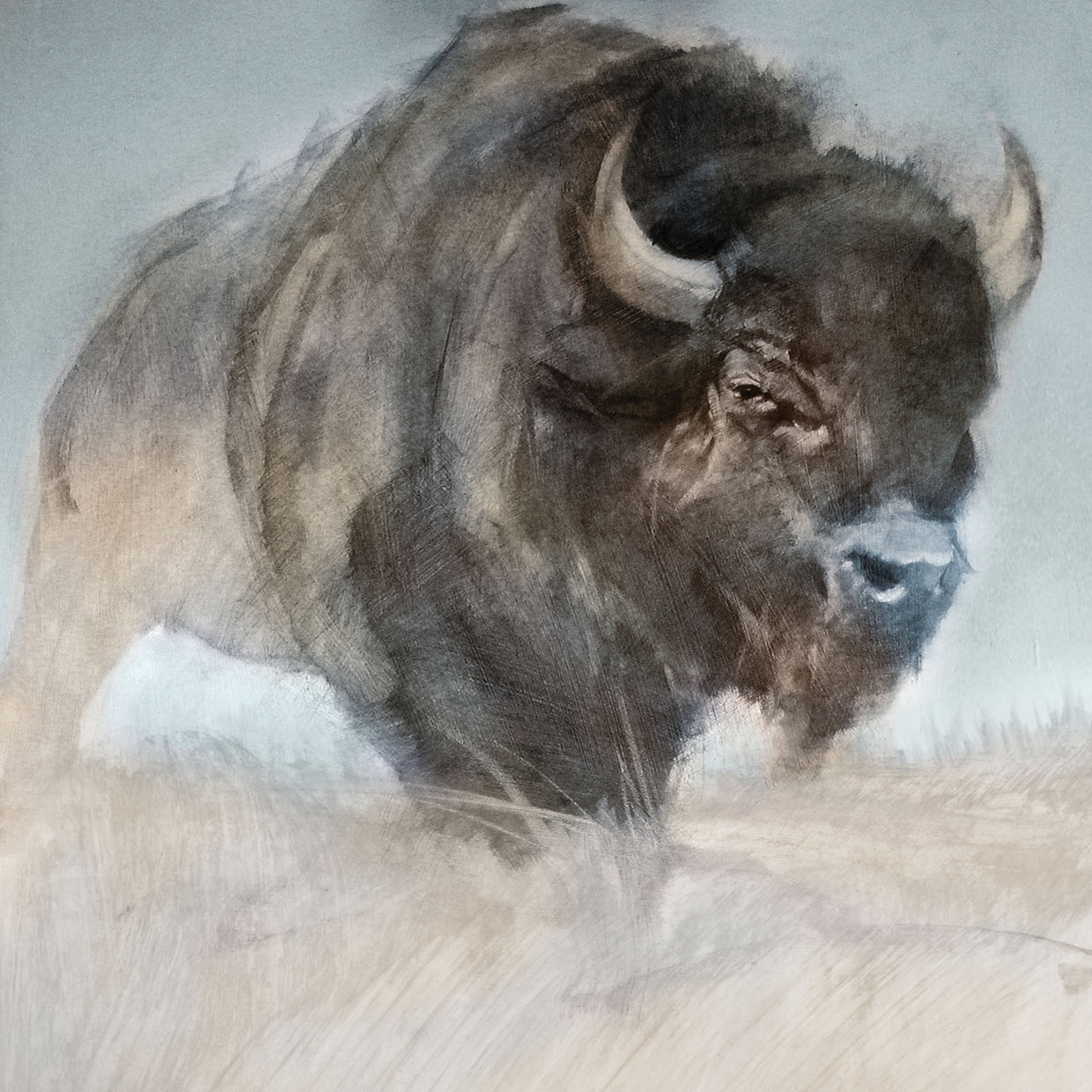 Prairie Bison
