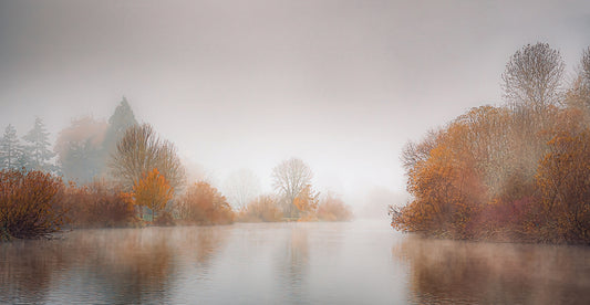 Misty Autumn Pond