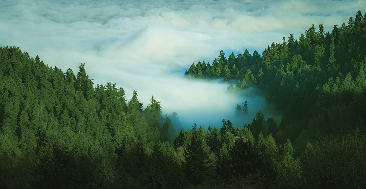 Clouds Come Drifting In