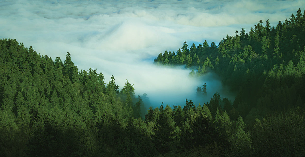 Clouds Come Drifting In
