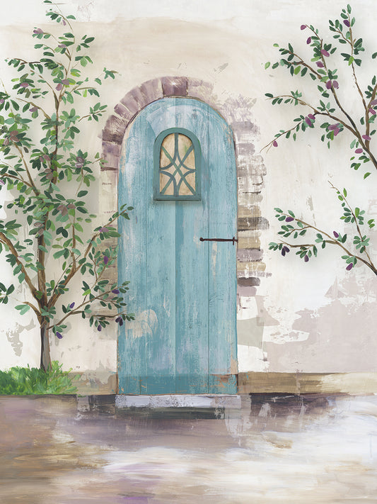 Arch Door with Olive Tree Canvas Print