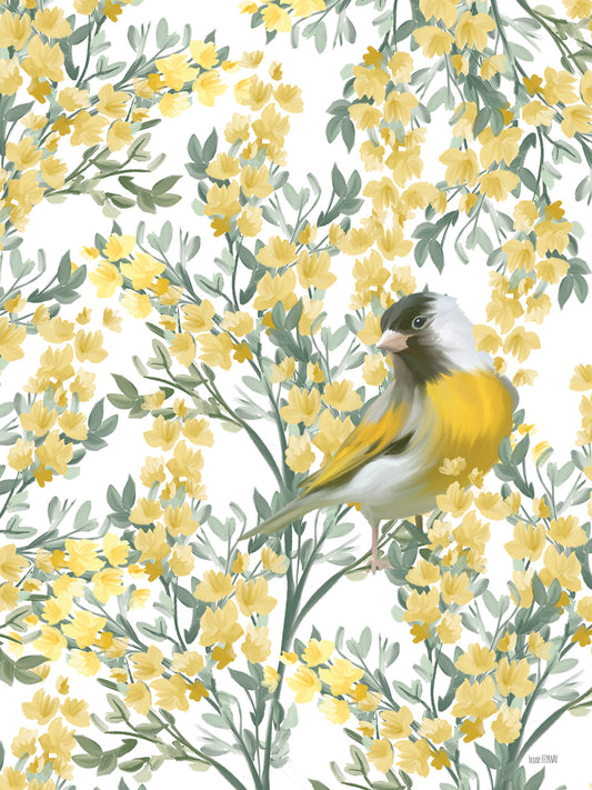 Yellow Spring Finch Canvas Print