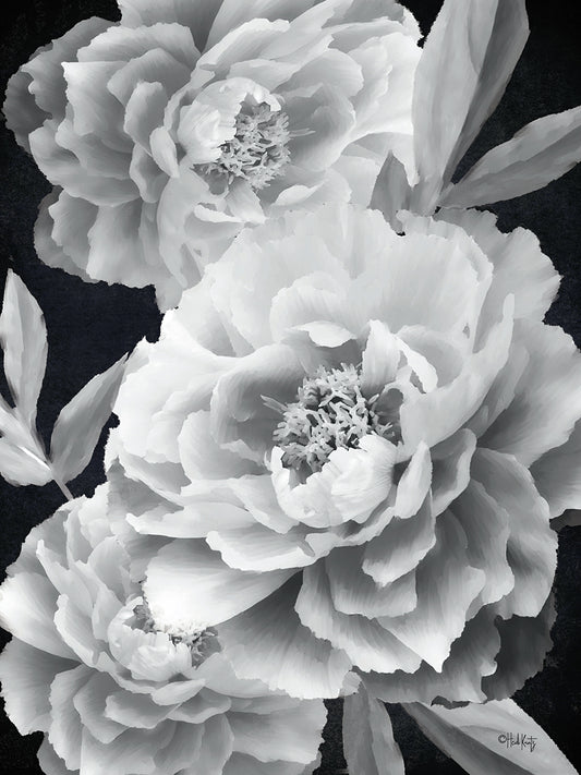 Black and White Peonies Canvas Print