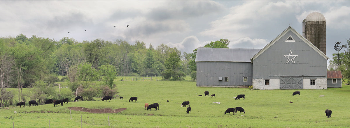 Grazing Away