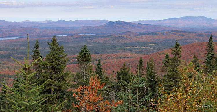 Panorama de Adirondack Lienzo