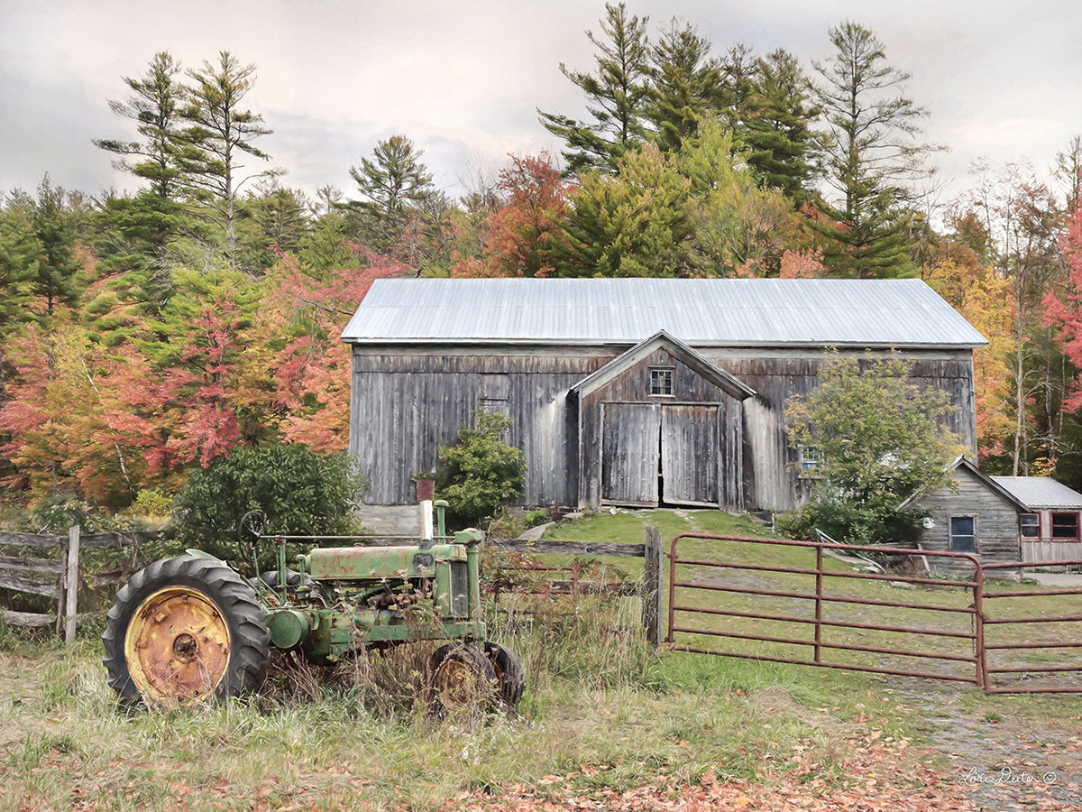 Fall on the Farm II