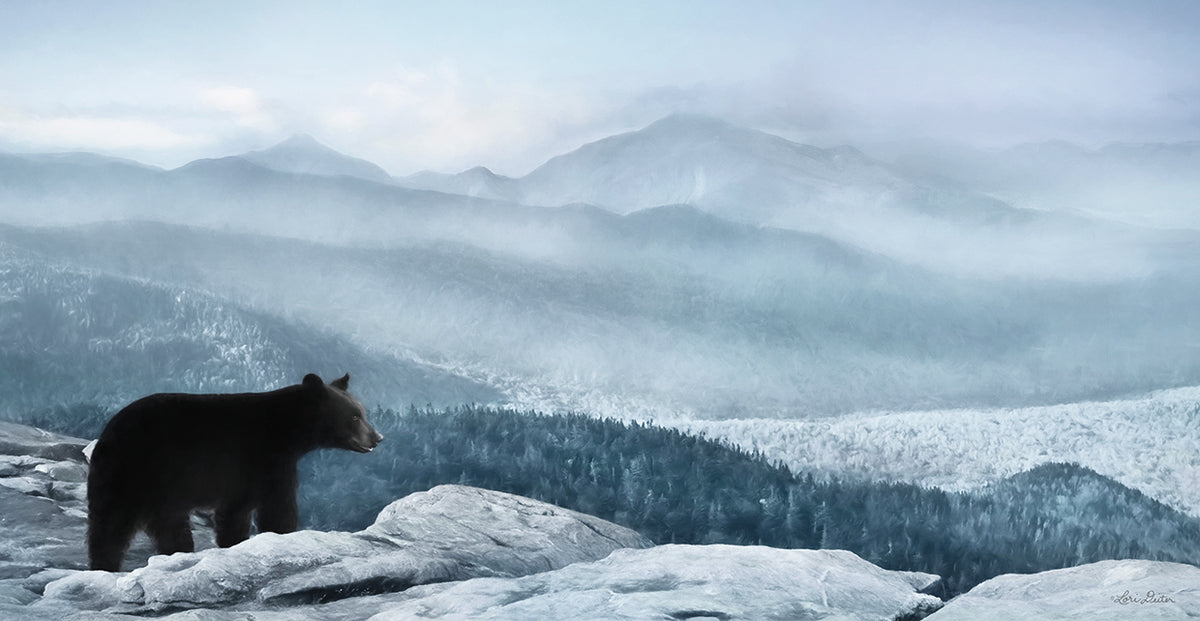 Cascade Mountain Bear