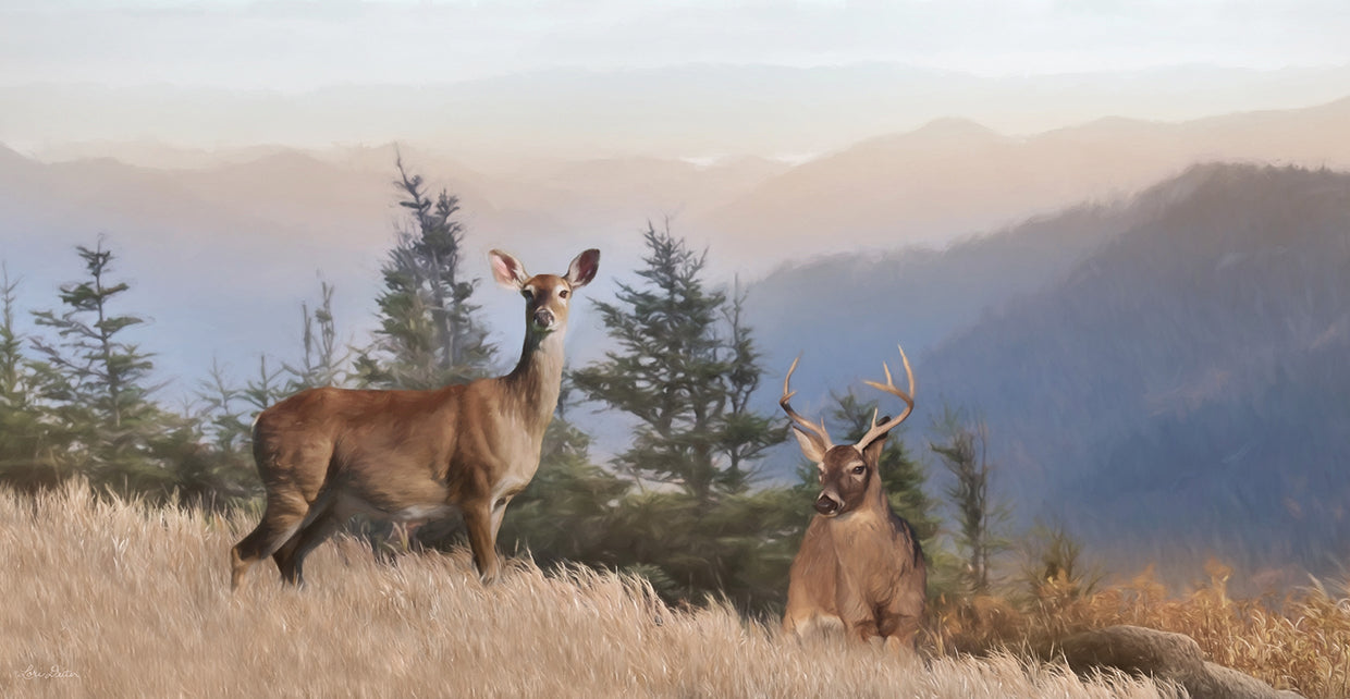 Cascade Mountain Deer
