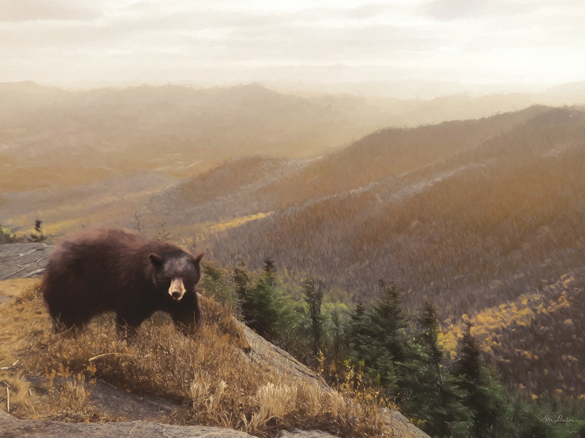 Bear Country