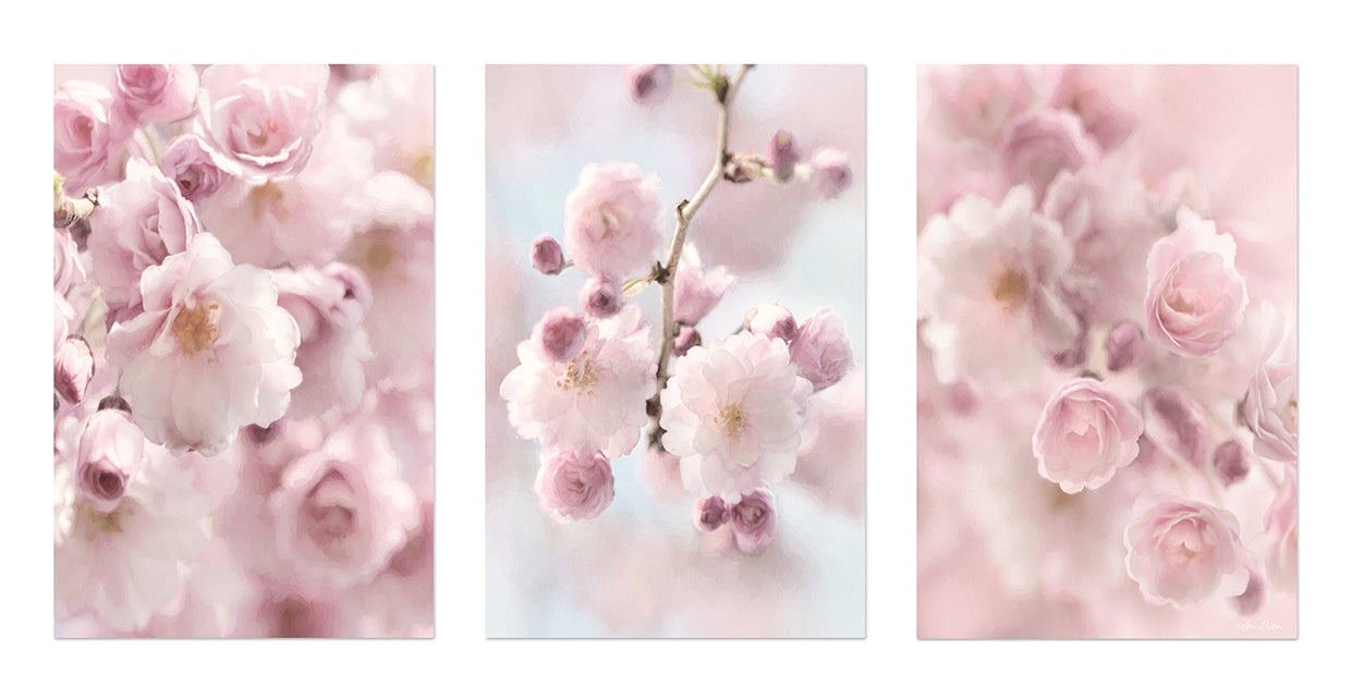 Weeping Cherry Trio