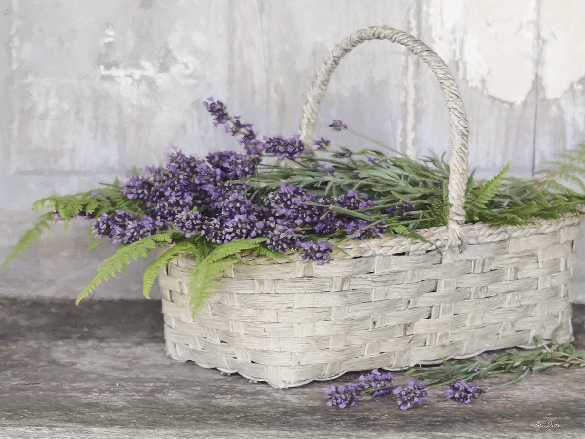 My Lavender