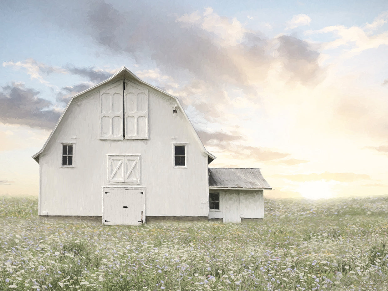 White Summer Barn