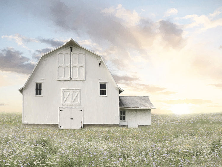 White Summer Barn