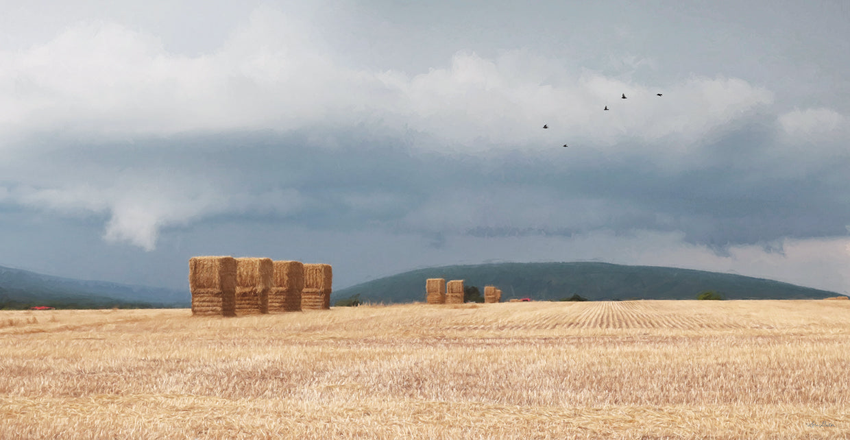 Stormy Day Harvest I